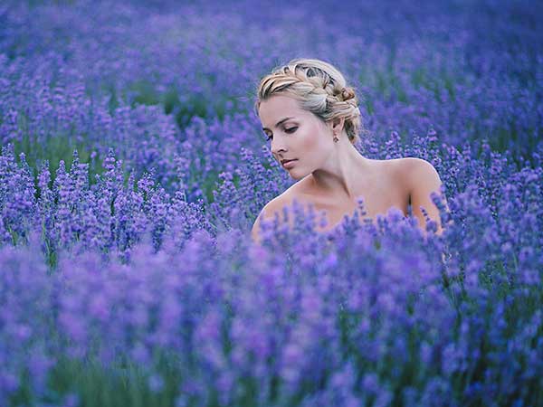 Blonde woman with braids in field of lavender.