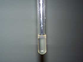 testtube with yellowish liquid in it