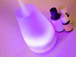 Electric aromatherapy diffuser with essential oil bottles.